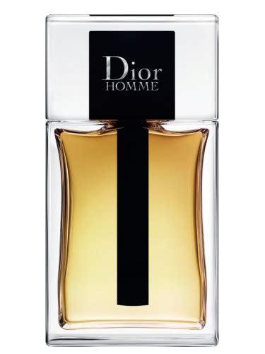 parfum dior homme similaire|christian Dior Homme 2020.